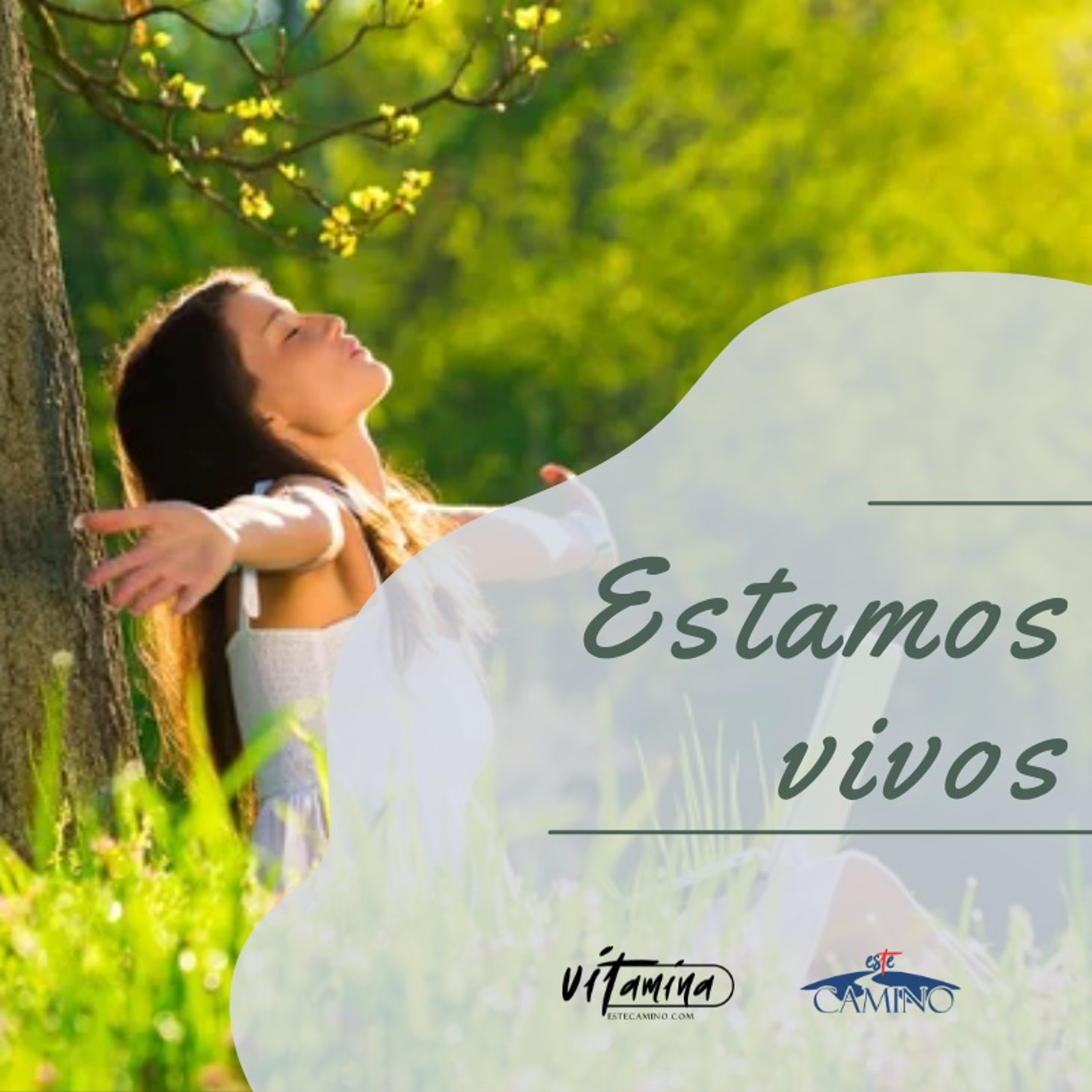 Estamos vivos, Carmen Gloria episode artwork