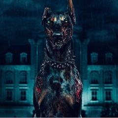 SCHNEEMANN ON SCHRANZ #0.1