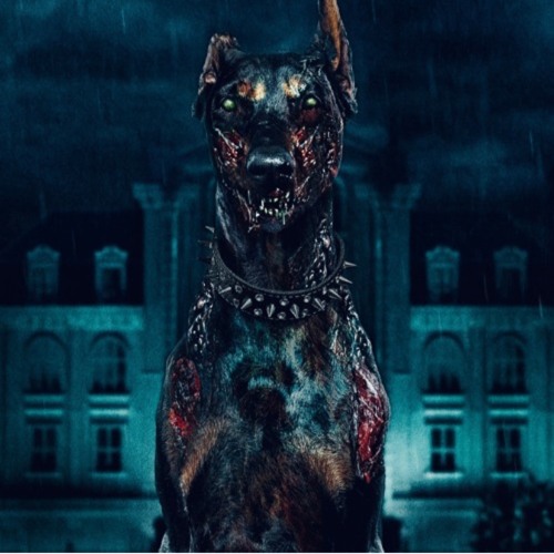 SCHNEEMANN ON SCHRANZ #0.1