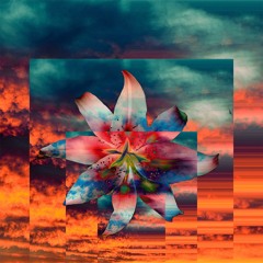 Long Live A$AP (Jack Flora Flip)