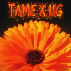 Good N Plenty 2 (+ug) #JerseyClub