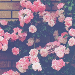 Garden/Endless Summer (iPhone version) (prod. by Nicholas Xavier)
