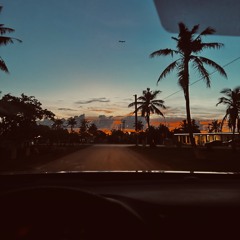 L E v e l z