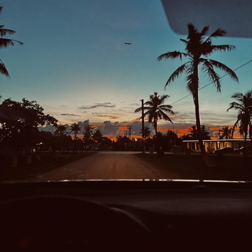 L E v e l z