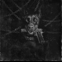 Off The Leash