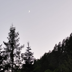 The poets land