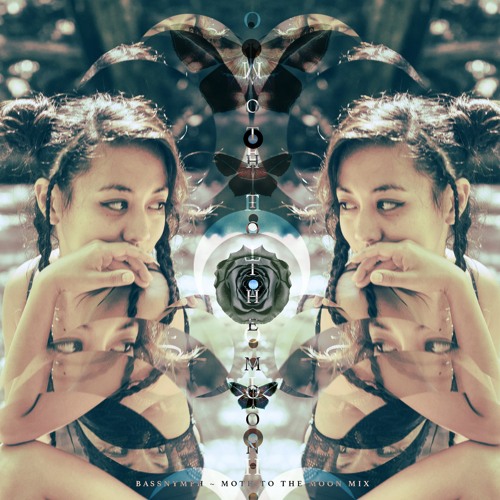 ☾ Moth to the Moon ☽