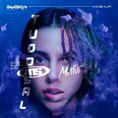 Tudo Sal (Piycocks Mashup)