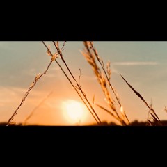 | Ambient |