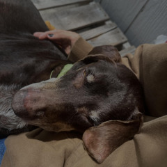 i cant do anything right.