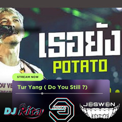 potato do you still (Tur Yang) (DJ Janson & Rita & Jeswen Hard Dance)