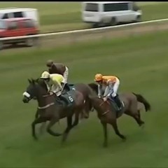 Top Tien Paarden type kutbiet