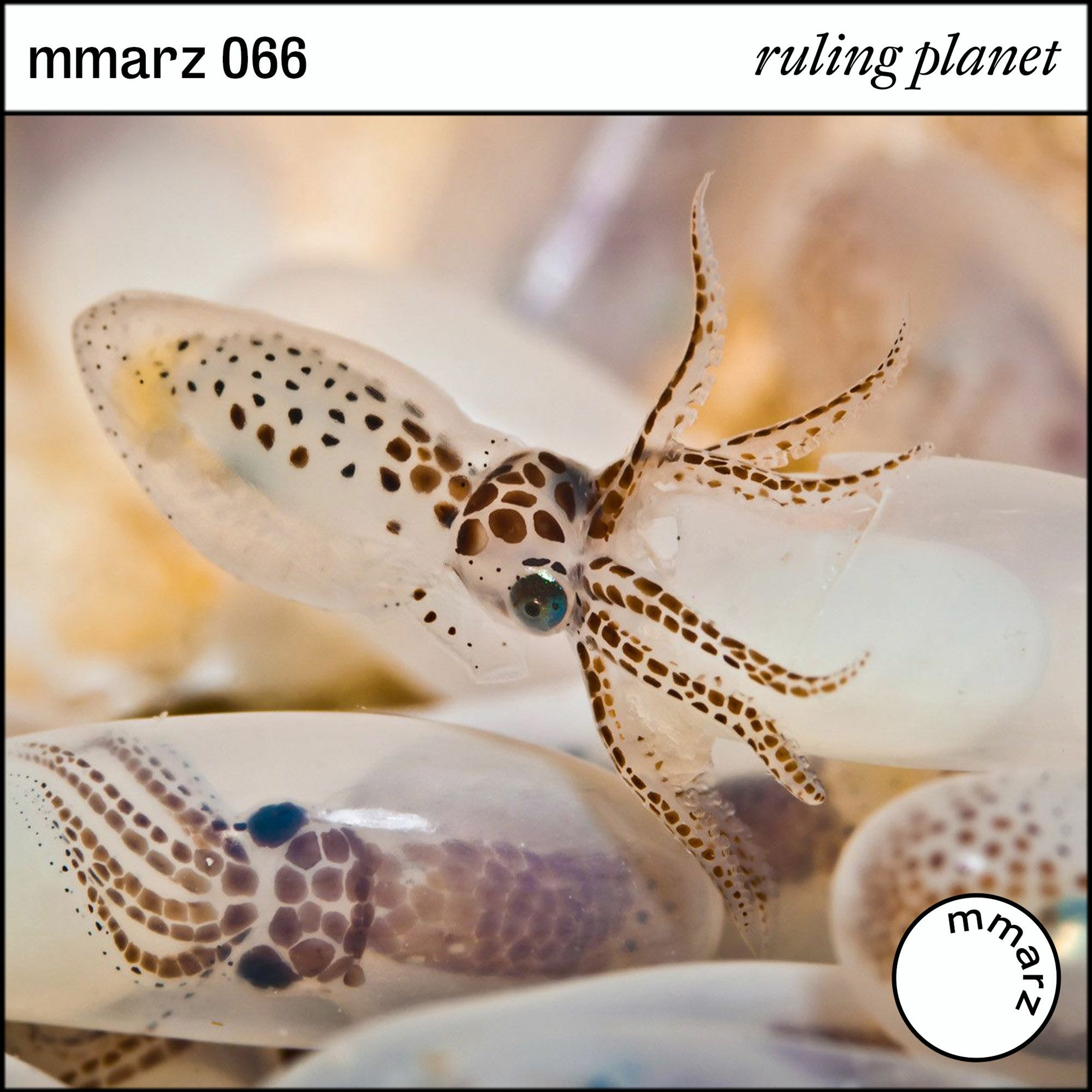 mmarz