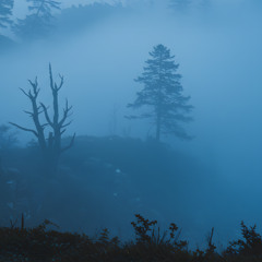 hope for a lost man, Pt.44