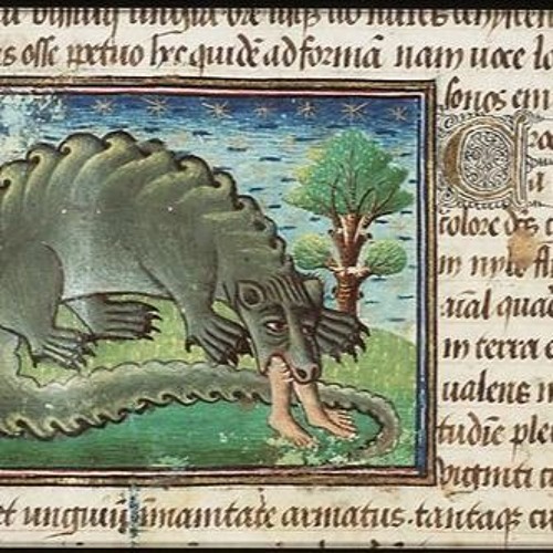 CrocoDRILLus