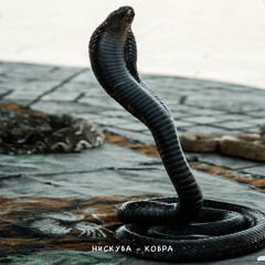 Кобра