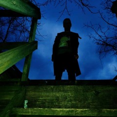 Drunk Post Malone Cover