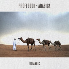 Professor - Arabica