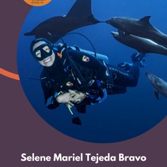Correlación de valencias y vocalizaciones de delfines _Selene Mariel Tejeda Bravo