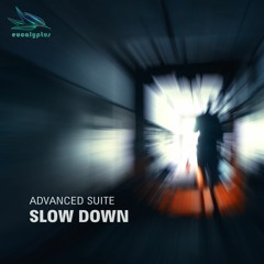Advanced Suite - Slow Down