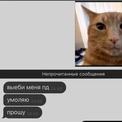 zahotel renatu (baikoglory, wikee & vienne9000 flip)