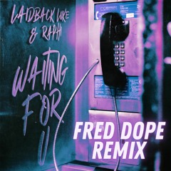 Laidback Luke & Raphi - Waiting For You (Fred Dope Remix)