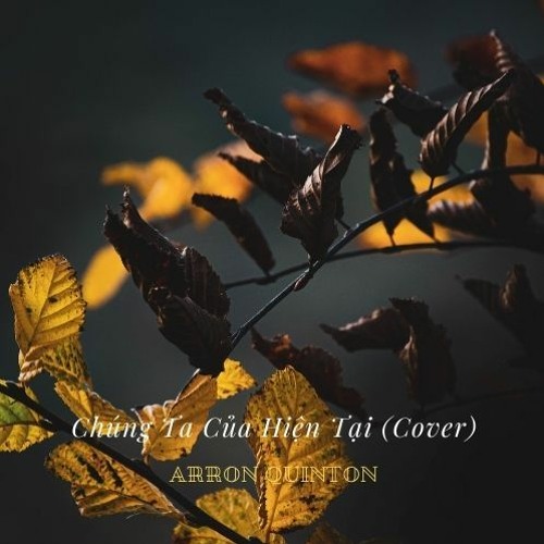 Chúng Ta Của Hiện Tại (Cover)