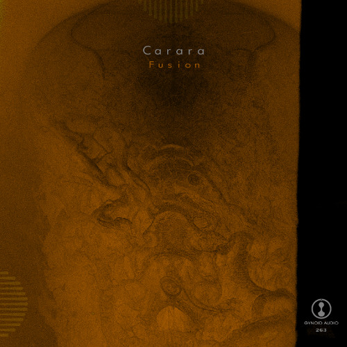 Carara - Fusion 005 [Premiere I GYNOID263]