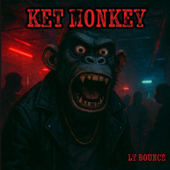 LT BOUNCE - BOUNCE BACK EP 001 - K3T MONKEY 2025 (RADIO EDIT)