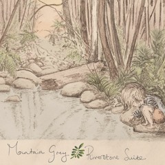 Interview with Mike Robinson-Koss of Mountain Grey