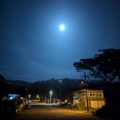 LE - 10/20/24 - edited