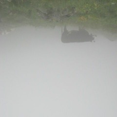 Ä Löu, Ä Blöde Siech..