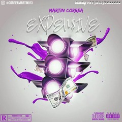 EXPEN$IVE - Martin Correa