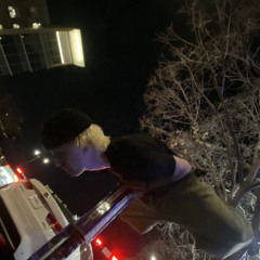 trout mask replica on accident