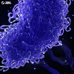 ZEC. - Crossing Over