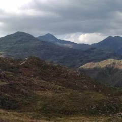 Mountain Striders
