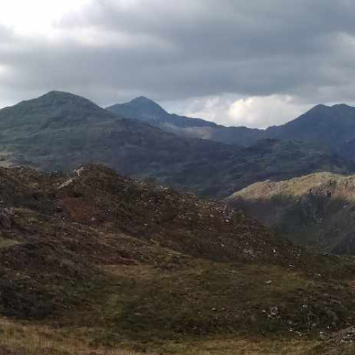 Mountain Striders