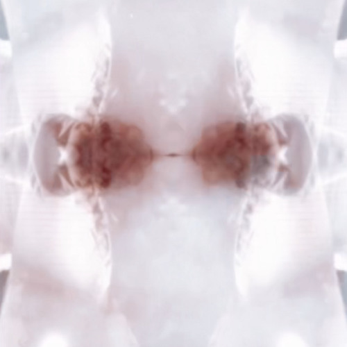 Ansars