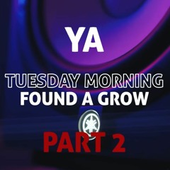 YA - Tuesday Morning Found A Grow (PART 2)