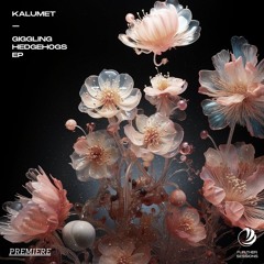 Premiere: Kalumet - Giggling Hedgehogs [Fur:ther Sessions]