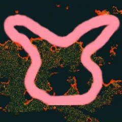 Un mensaje del todo (feat. Boom Boom Kid)