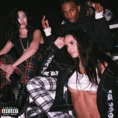 die lit-playboi carti (with transitions)