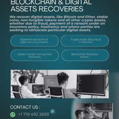 HOW TO RECOVER STOLEN CRYPTOCURRENCY FROM CRYPTO THIEVES WITH TRUST GEEKS HACK EXPERT