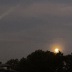 Sopita (prod. Lilbobster)