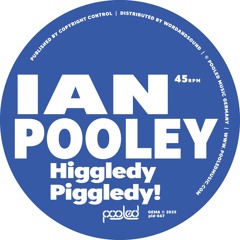 Stream 1998.02.15 - Essential Mix - Ian Pooley by ianpooley
