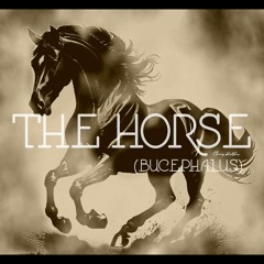 The Horse  (BUCEPHALUS)