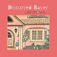 13 Distorted Bayer For The Residential Area