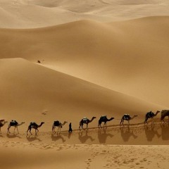 Desert Ghosts
