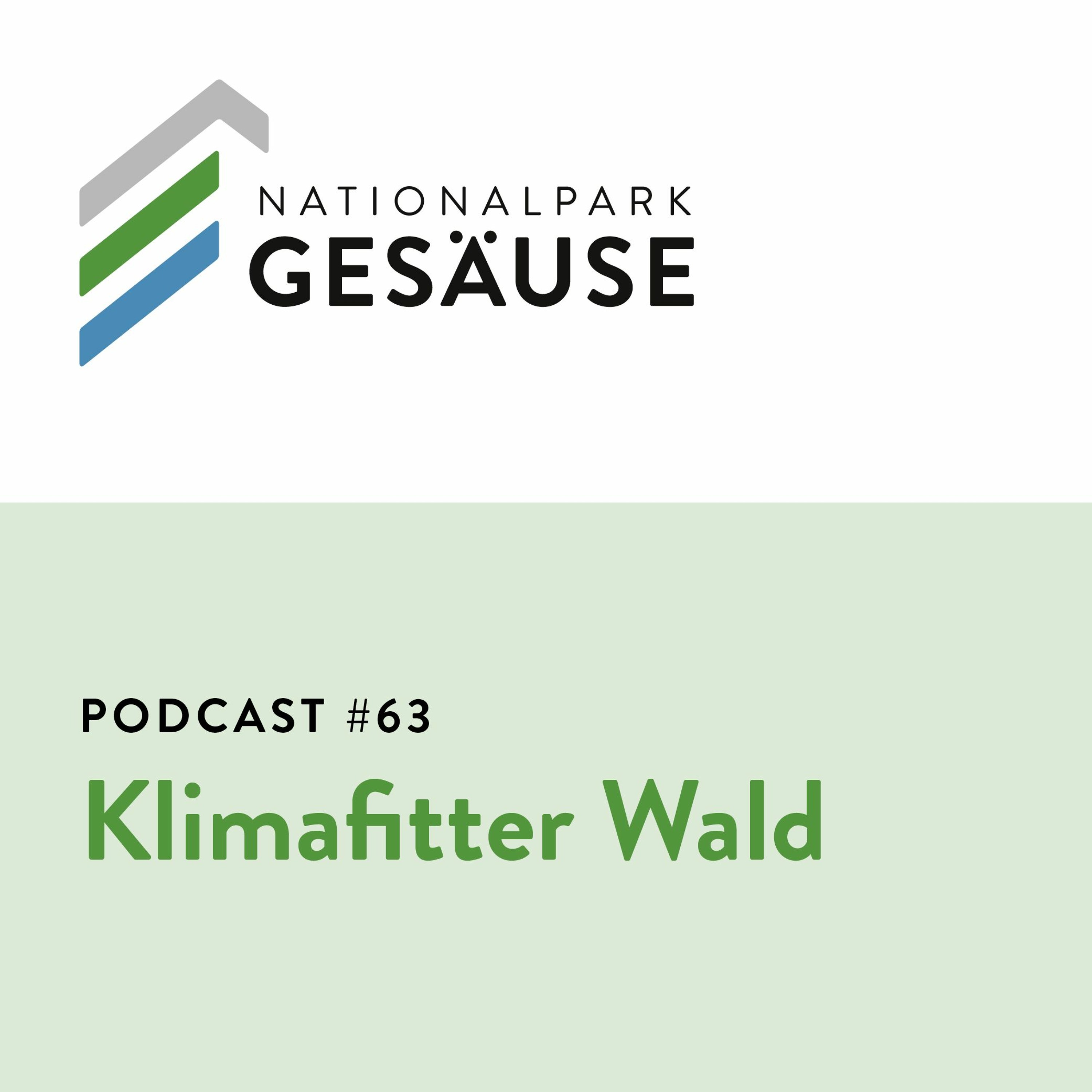 Podcast #63 - Klimafitter Wald episode artwork