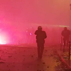 Epileptic Taxidermist